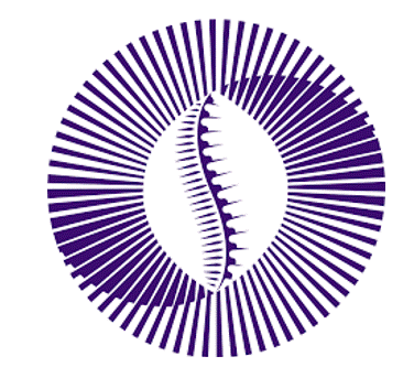 Continental local-currency settlement platform for intra-African trade logo