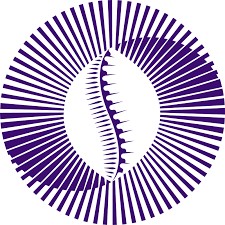 Pan-African Payment and Settlement System (PAPSS)